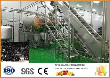 चीन टर्नकी SS304 ब्लूबेरी सूखे फल उत्पादन लाइन CFM-PB-03-22T आपूर्तिकर्ता