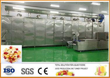 चीन फल और सब्जी सूखे फल उत्पादन लाइन iso9001 प्रमाणीकरण आपूर्तिकर्ता