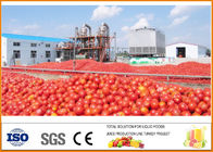 Complete Ketchup Tomato Paste Production Line CFM-A-01-250-300