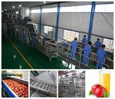 Small Capacity Apple Juice Processing Plant SS304 Material Beverage Processing Line