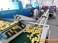 Easy Operation Lemon Juice Processing Line Machinery In Silver Color CFM-FD-200