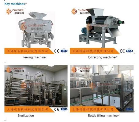 Coustom अनार का रस उत्पादन लाइन 5T / H ISO9001 प्रमाण पत्र